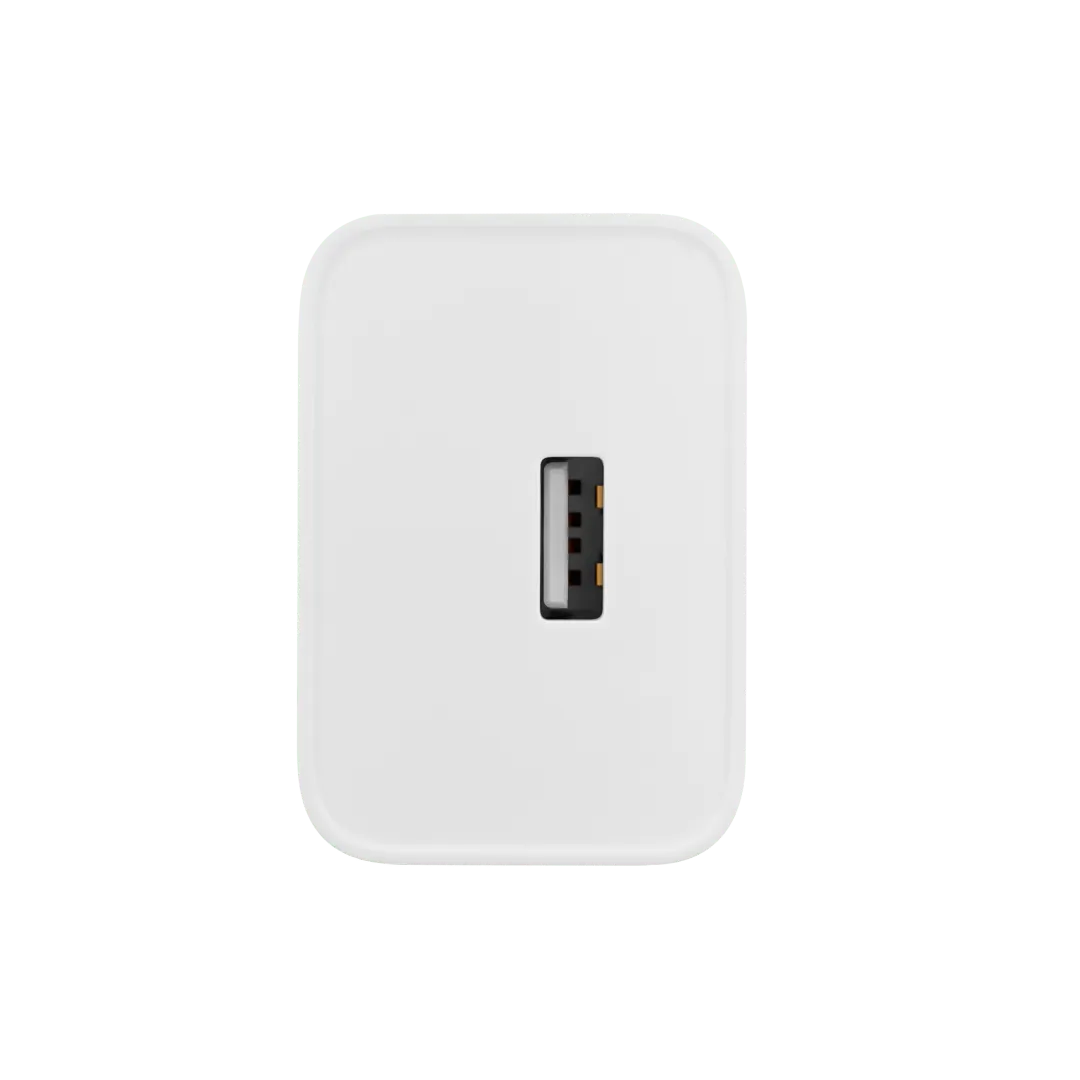 realme SUPERVOOC 33W Power Adapter