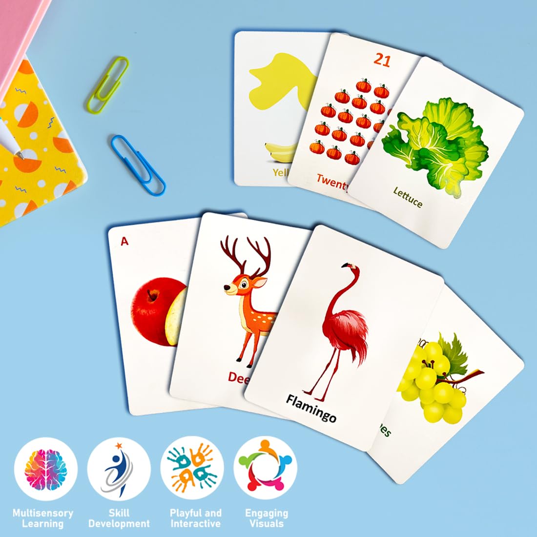 Wembley Flash Card for Babies 0 to 6 Months Old Boy Girls Infant Early Learning Educational Montessori Toys Birthday Gift for 1 2 3 4 Years Kids Activity Toys - Set of 196 Cards