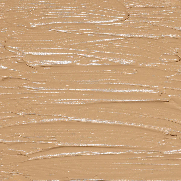 PAC Studio HD Concealer(12g)