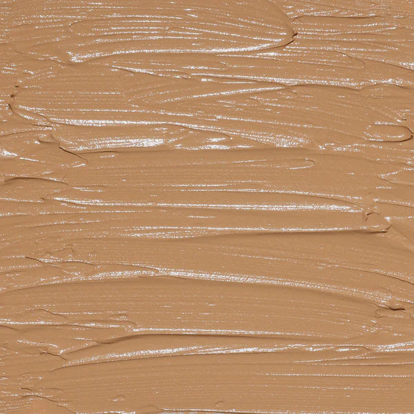 PAC Studio HD Concealer(12g)