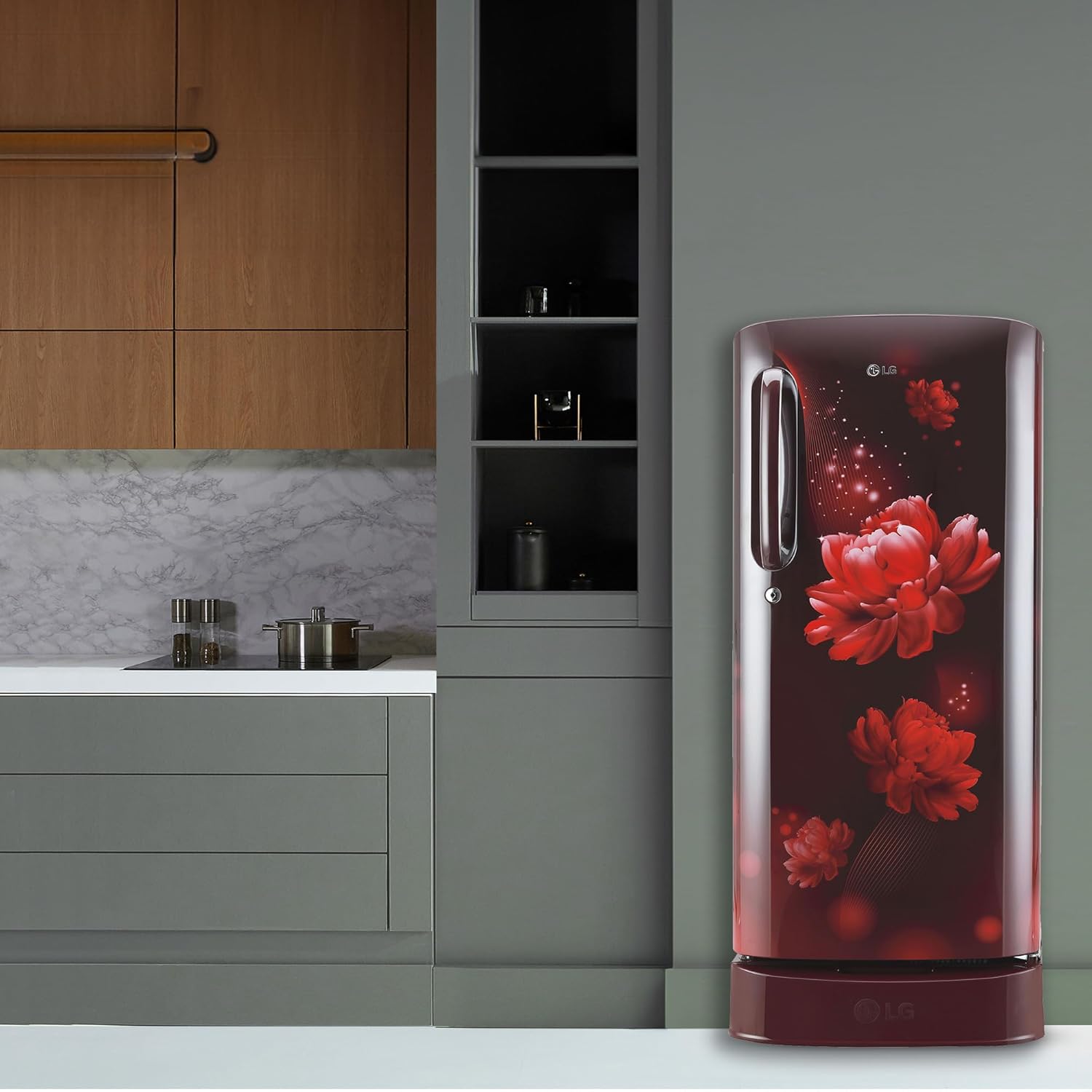 LG 185 L 5 Star Inverter Direct-Cool Single Door Refrigerator