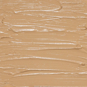 PAC Studio HD Concealer(12g)
